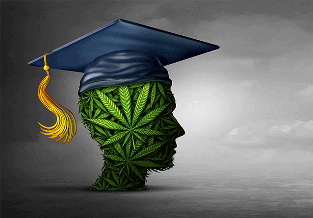 Higher Education: How High?