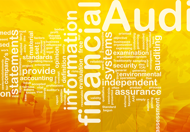 The Best Process to Plan and Control Your Audited Financial Statements