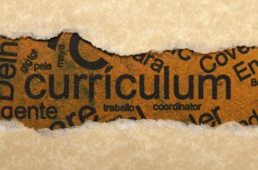 Curriculum