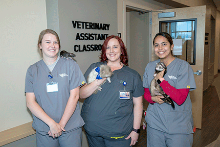 Pima Medical Institute Hosts Official Grand Opening Of New Tucson Campus Career Education Review