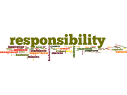 responsibility