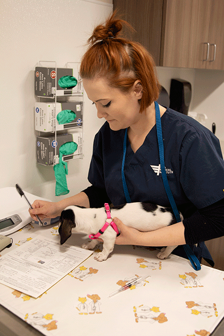 Pima student working in the new clinic.